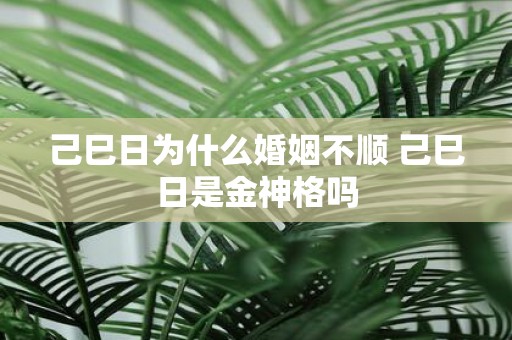 己巳日为什么婚姻不顺 己巳日是金神格吗