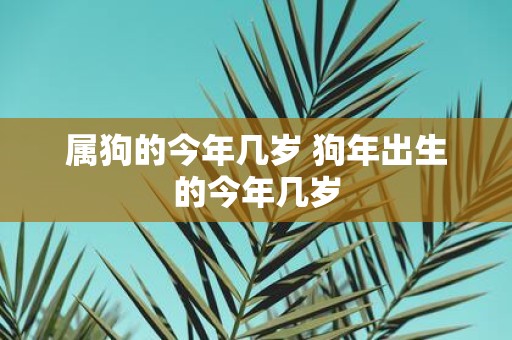 属狗的今年几岁 狗年出生的今年几岁