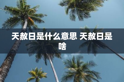 天赦日是什么意思 天赦日是啥