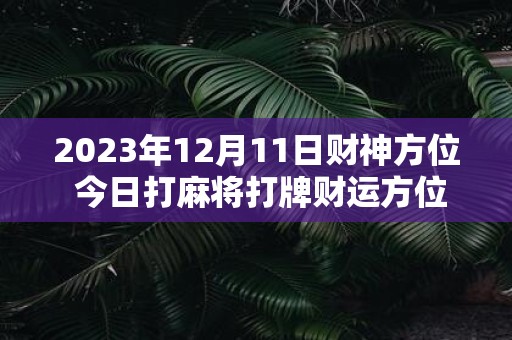 2025年12月11日财神方位 今日打麻将打牌财运方位