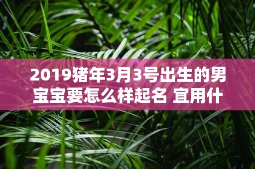 2019猪年3月3号出生的男宝宝要怎么样起名 宜用什么字