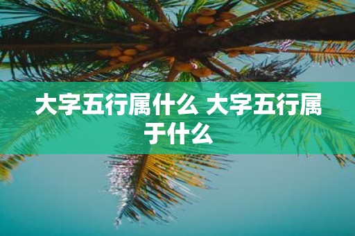 大字五行属什么 大字五行属于什么