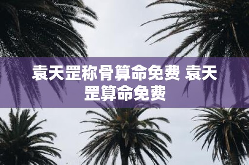 袁天罡称骨算命免费 袁天罡算命免费