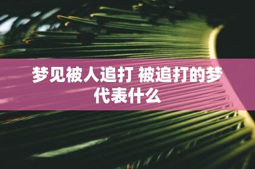 梦见被人追打 被追打的梦代表什么