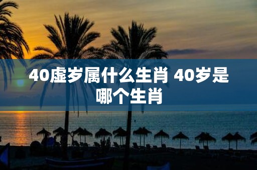40虚岁属什么生肖 40岁是哪个生肖