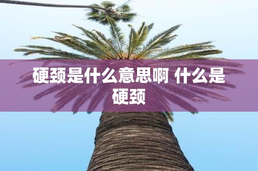 硬颈是什么意思啊 什么是硬颈