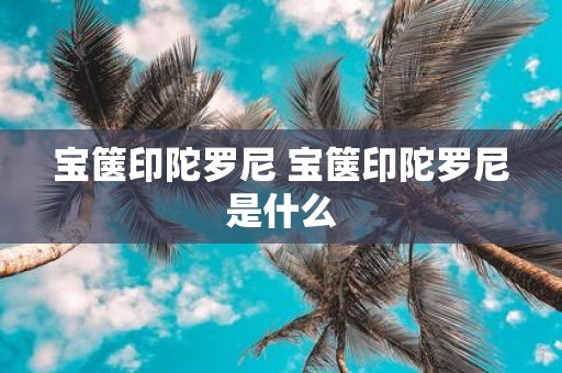 宝箧印陀罗尼 宝箧印陀罗尼是什么
