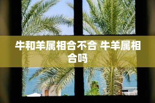 牛和羊属相合不合 牛羊属相合吗