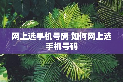 网上选手机号码 如何网上选手机号码