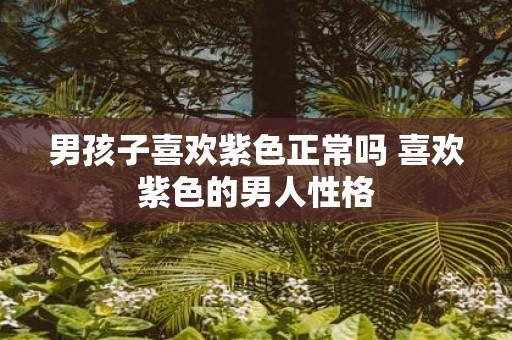 男孩子喜欢紫色正常吗 喜欢紫色的男人性格