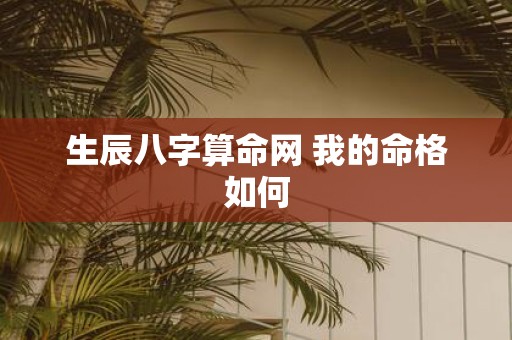 生辰八字算命网 我的命格如何