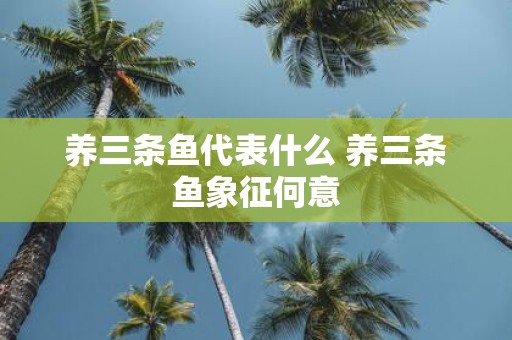 养三条鱼代表什么 养三条鱼象征何意