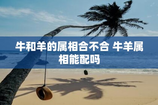 牛和羊的属相合不合 牛羊属相能配吗