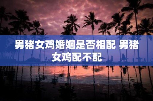 男猪女鸡婚姻是否相配 男猪女鸡配不配