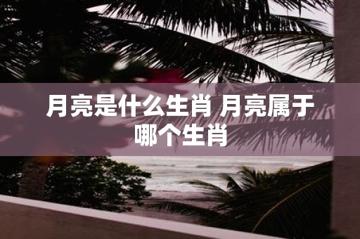 月亮是什么生肖 月亮属于哪个生肖