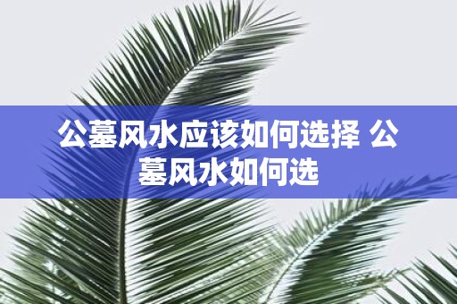 公墓风水应该如何选择 公墓风水如何选