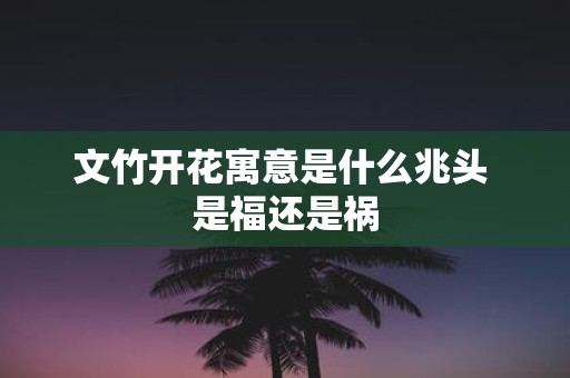 文竹开花寓意是什么兆头 是福还是祸