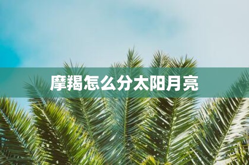 摩羯怎么分太阳月亮