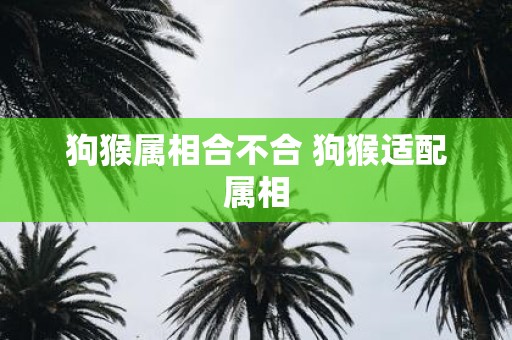 狗猴属相合不合 狗猴适配属相