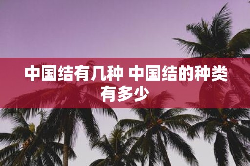 中国结有几种 中国结的种类有多少