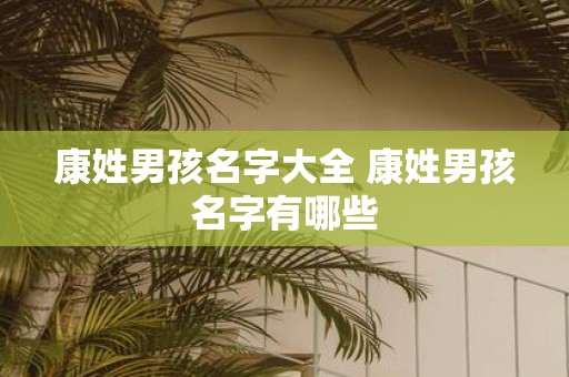 康姓男孩名字大全 康姓男孩名字有哪些
