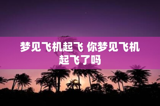 梦见飞机起飞 你梦见飞机起飞了吗