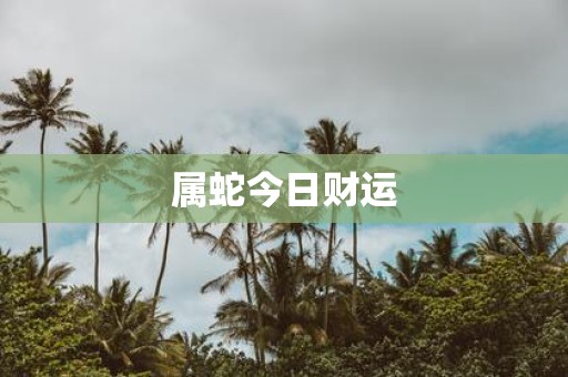 属蛇今日财运