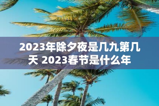2025年除夕夜是几九第几天 2025春节是什么年