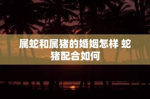 属蛇和属猪的婚姻怎样 蛇猪配合如何