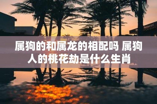 属狗的和属龙的相配吗 属狗人的桃花劫是什么生肖