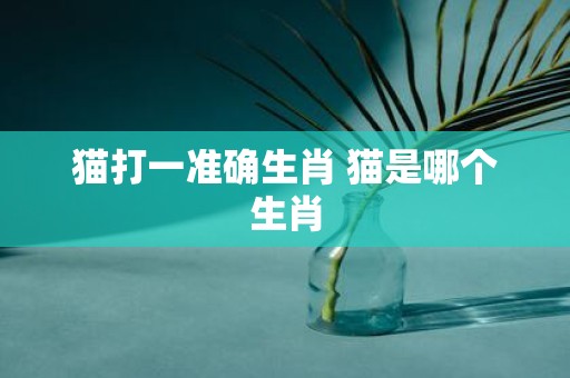 猫打一准确生肖 猫是哪个生肖