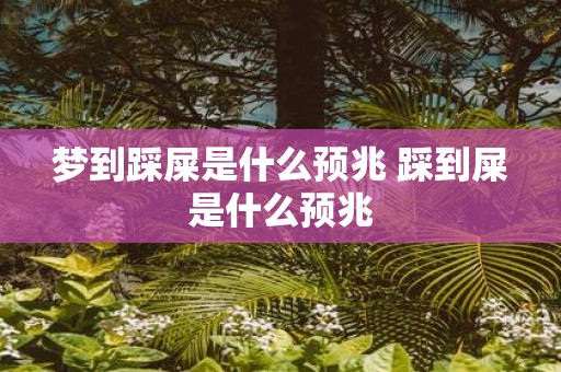 梦到踩屎是什么预兆 踩到屎是什么预兆