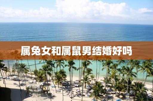 属兔女和属鼠男结婚好吗