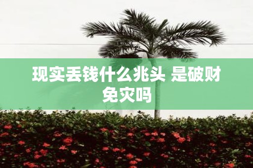 现实丢钱什么兆头 是破财免灾吗