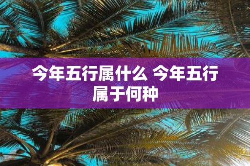 今年五行属什么 今年五行属于何种