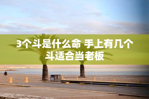 3个斗是什么命 手上有几个斗适合当老板