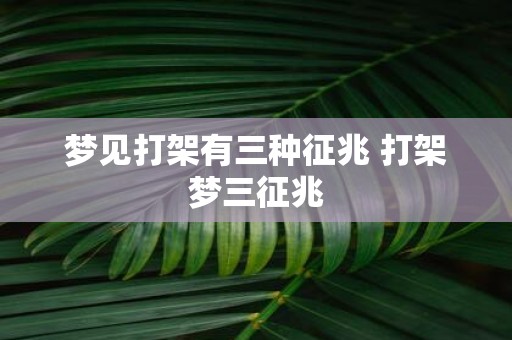 梦见打架有三种征兆 打架梦三征兆