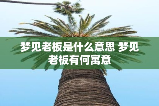 梦见老板是什么意思 梦见老板有何寓意