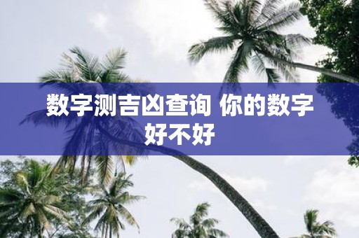 数字测吉凶查询 你的数字好不好