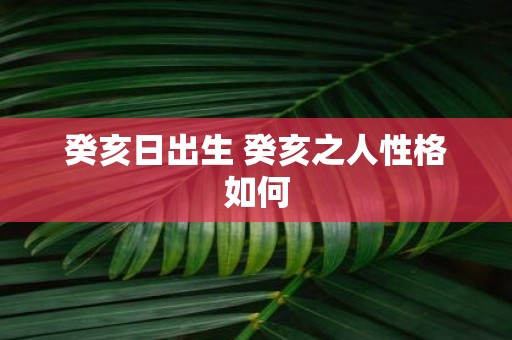 癸亥日出生 癸亥之人性格如何