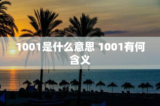 1001是什么意思 1001有何含义