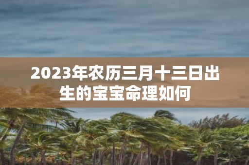2025年农历三月十三日出生的宝宝命理如何