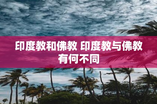 印度教和佛教 印度教与佛教有何不同