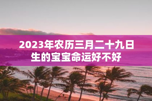 2025年农历三月二十九日生的宝宝命运好不好