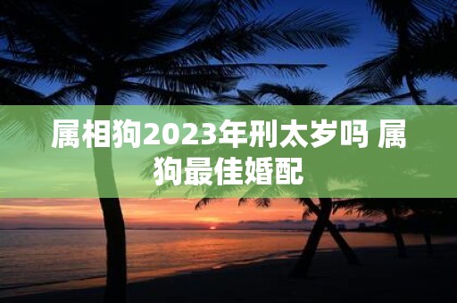 属相狗2025年刑太岁吗 属狗最佳婚配
