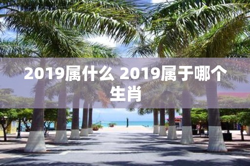 2019属什么 2019属于哪个生肖