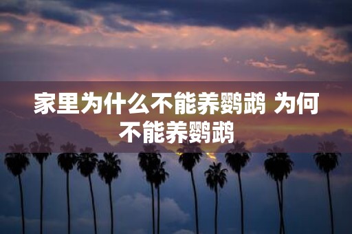 家里为什么不能养鹦鹉 为何不能养鹦鹉