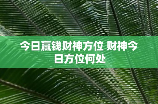 今日赢钱财神方位 财神今日方位何处