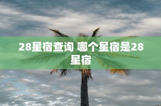 28星宿查询 哪个星宿是28星宿