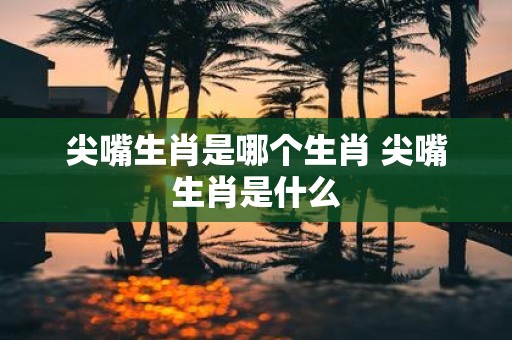 尖嘴生肖是哪个生肖 尖嘴生肖是什么